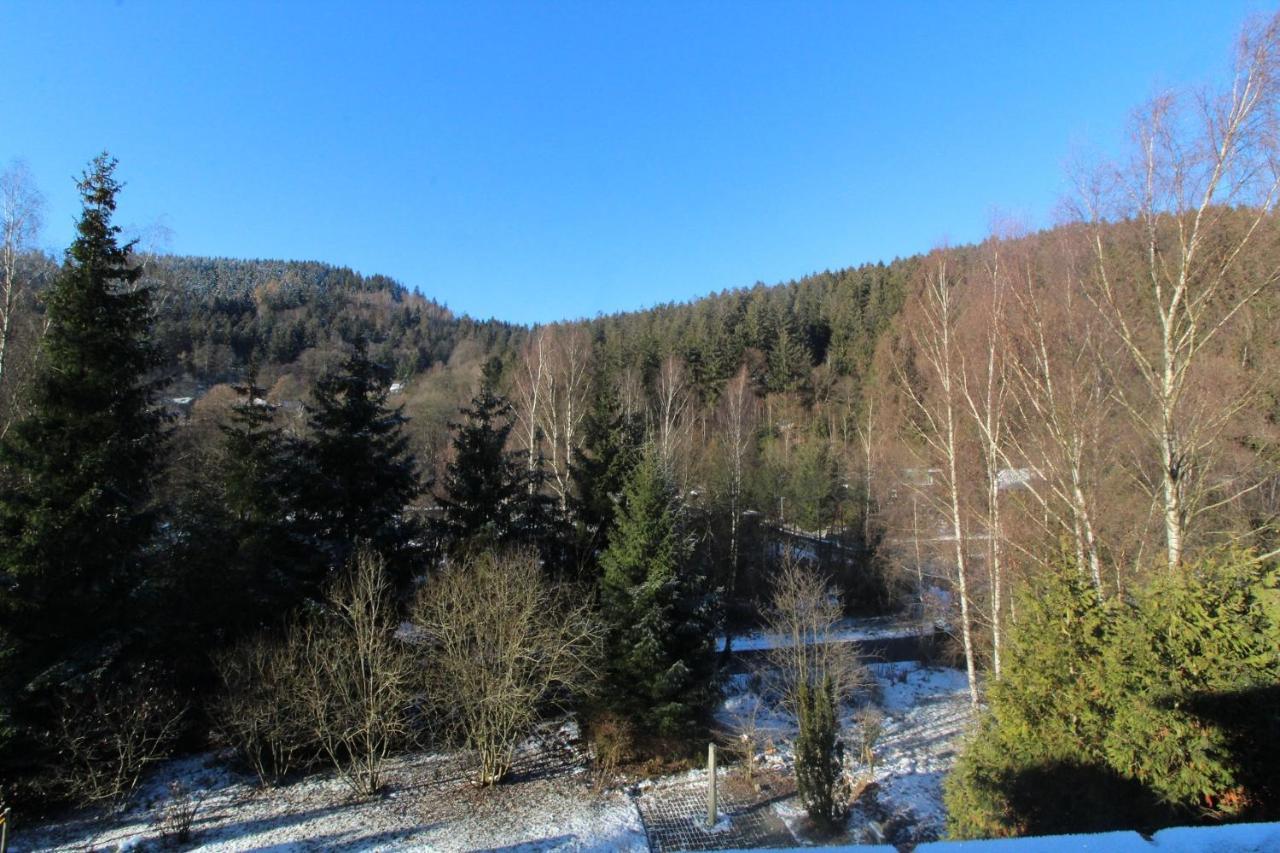 Home-Im-Harz Lautenthal Екстер'єр фото